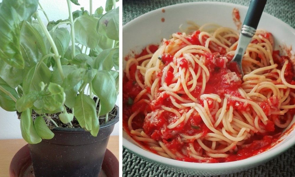 Špagety s čerstvou paradajkovou omáčkou